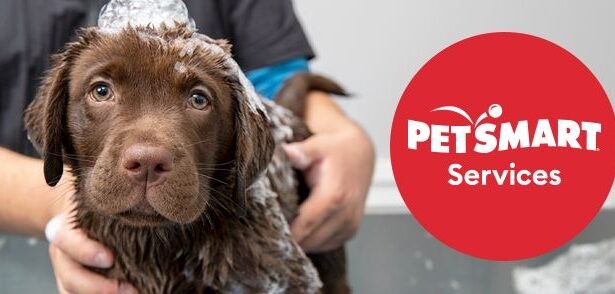 Pamper Your Furry Friend with PetSmart