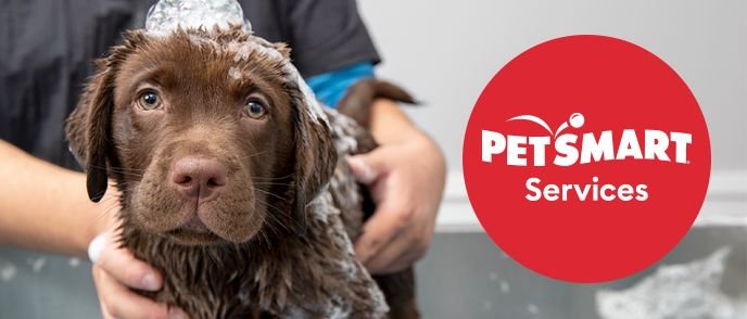 Pamper Your Furry Friend with PetSmart