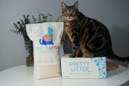PrettyLitter: The Ultimate Health Monitoring Cat Litter Subscription