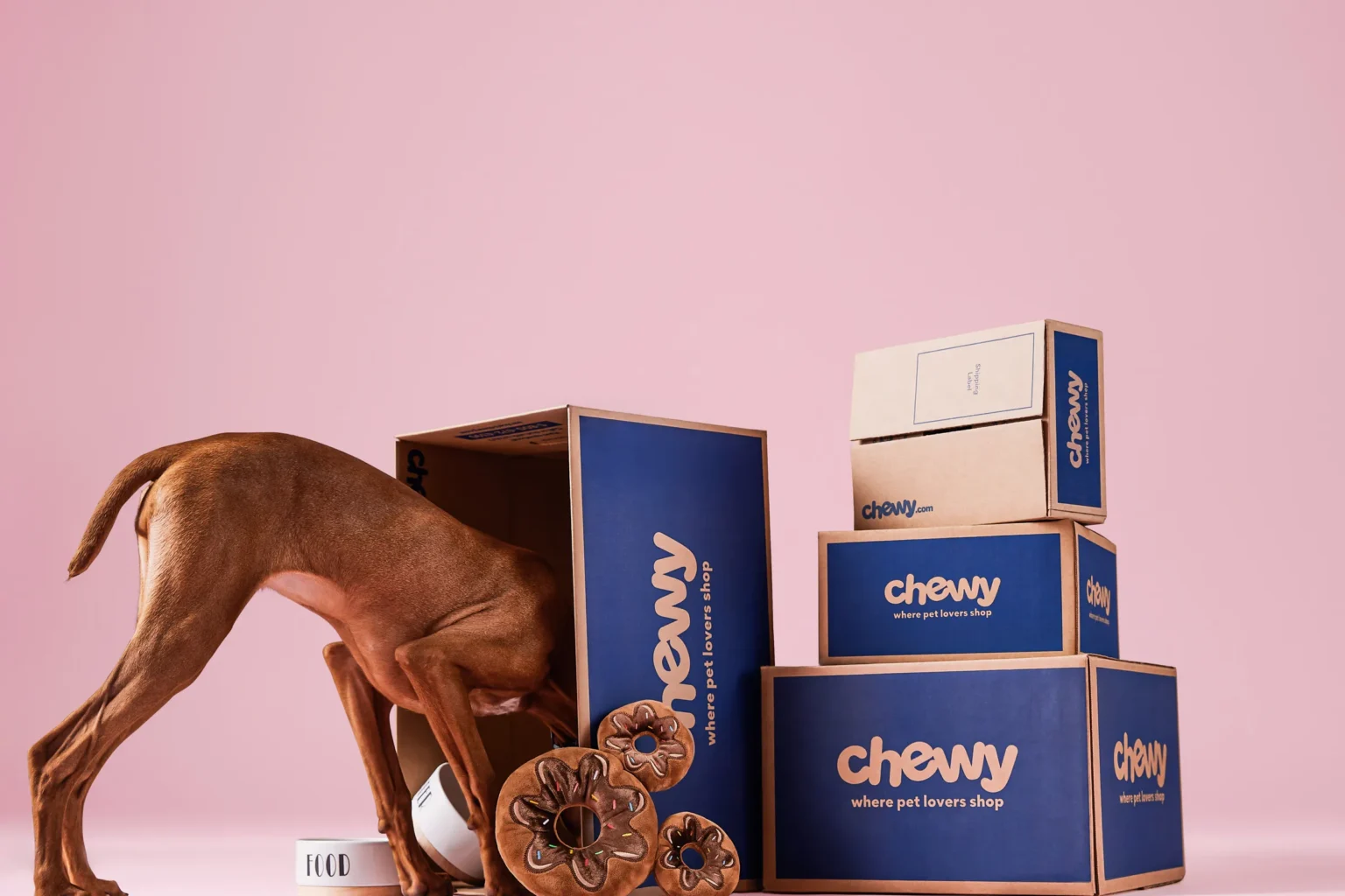 Discover the Paw-some Deals at Chewy