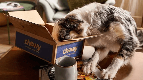 Chewy Free Delivery